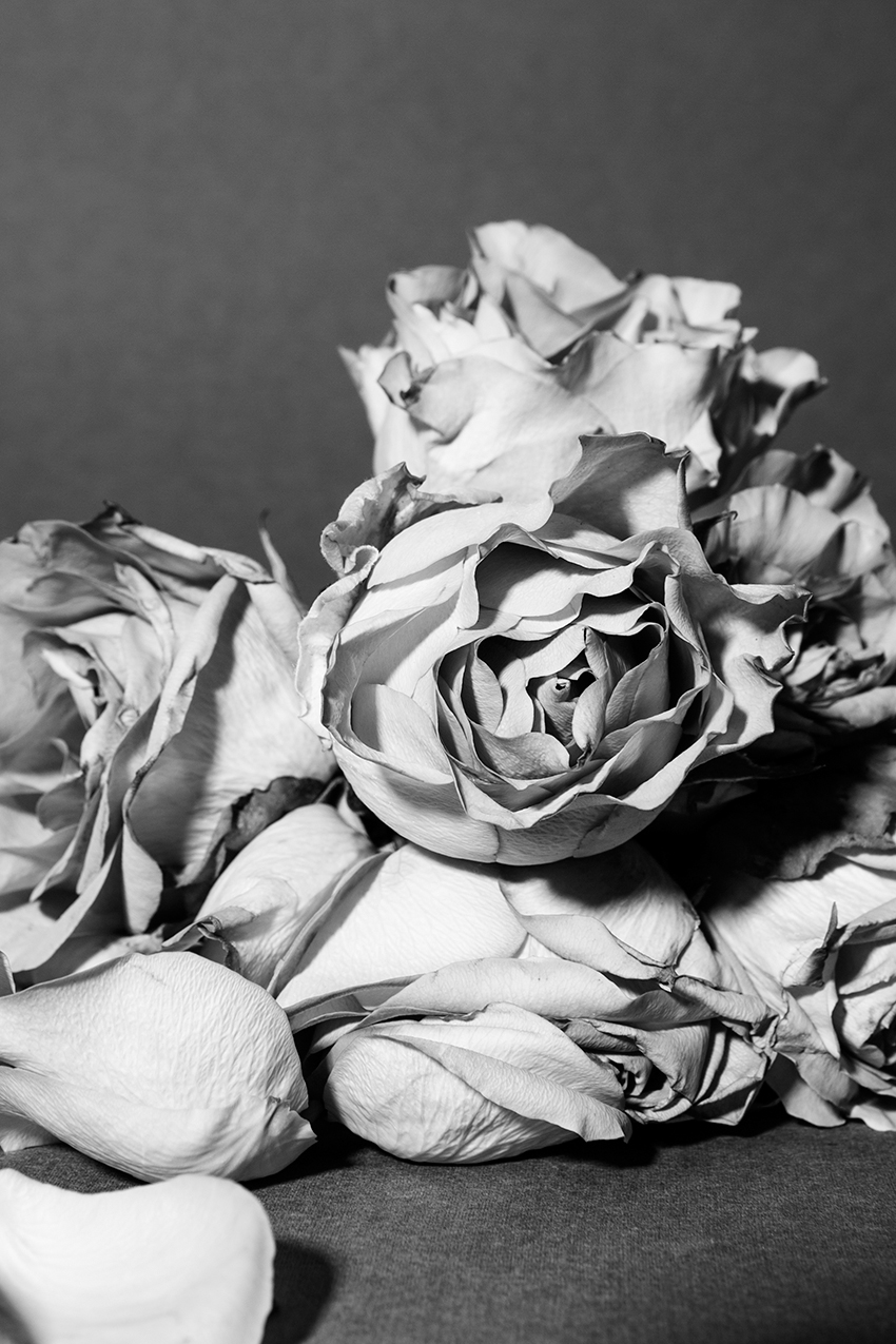 jacks beauty department, miriam jacks, still life, photography, jacob