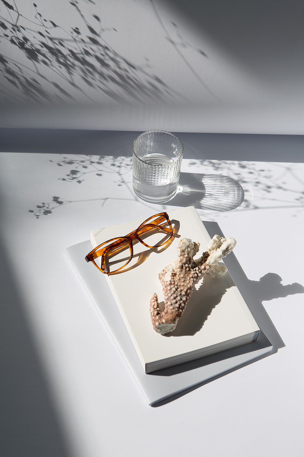 jacobreischel studiojacobreischel studio jacob reischel concept production berlin photography still-life stilllife still life